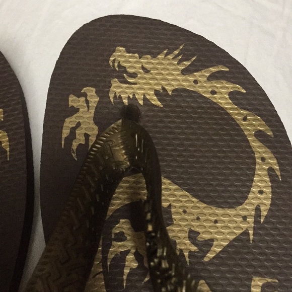 Havaianas | Shoes | Havaianas Brown Dragon Cafe Flip Flops Usa 9 | Poshmark
